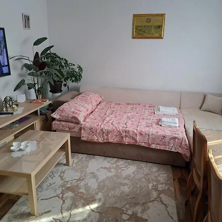 Drndic Sjenica